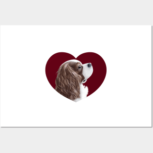 Cavalier King Charles Spaniel - Blenheim in a Heart Posters and Art